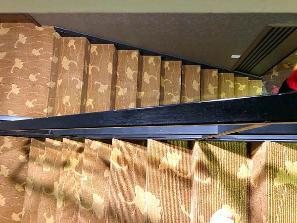 IMG_6203.HEIC