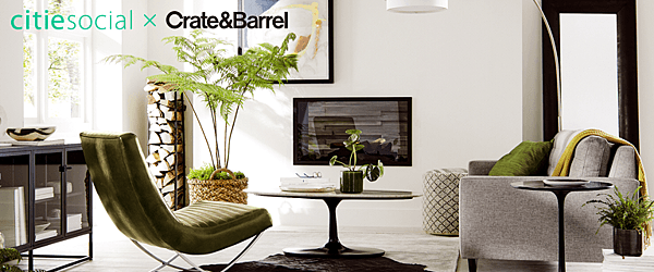 crate_barrel-_.png