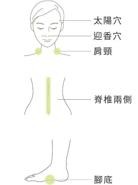 舒心膏使用部位建議以局部為主的小範圍塗抹.JPG