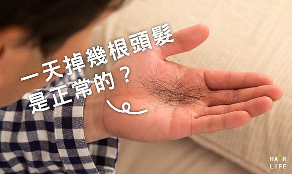 一天掉幾根頭髮是正常的.jpg