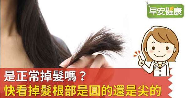 你是正常掉髮還是異常掉髮-早安健康.jpg
