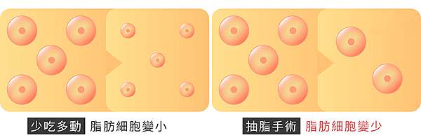 為什麼要抽脂_彤顏診所.jpg