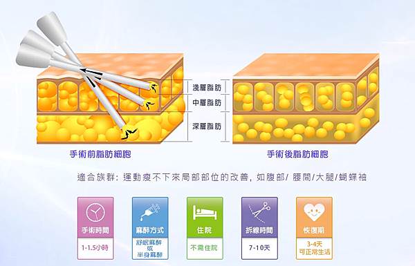 脂肪細胞變化_煥儷診所.jpg