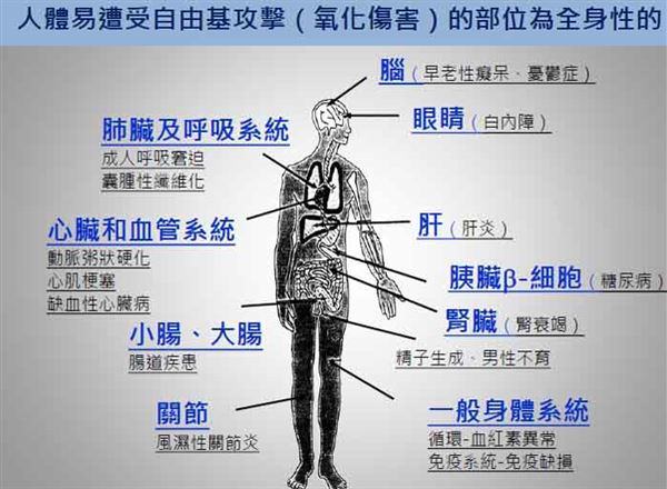 自由基的危害華人健康網.jpg