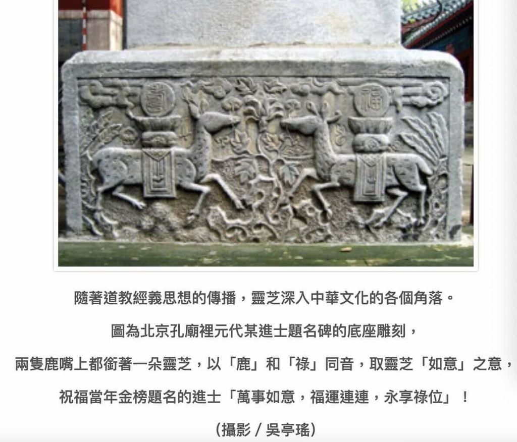 靈芝在中國被推崇.jpg