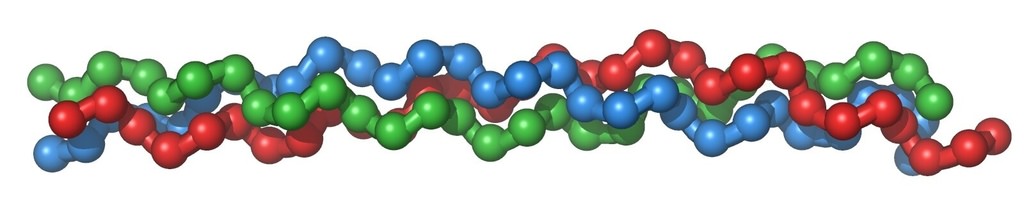 Collagentriplehelix.jpg