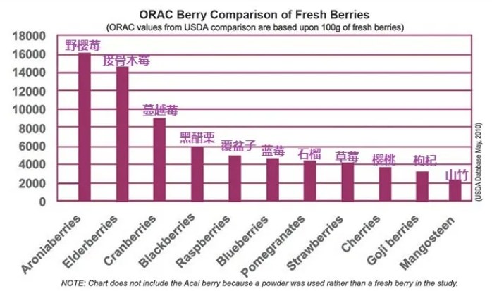 接骨木莓營養價值