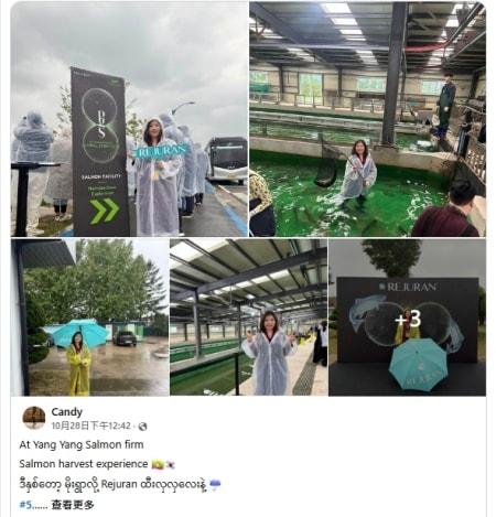 麗珠蘭dcard論戰?麗珠蘭注射台灣不合法,2024年底合法引進的保養型麗珠蘭水光差別在哪? - 第2張圖 麗珠蘭