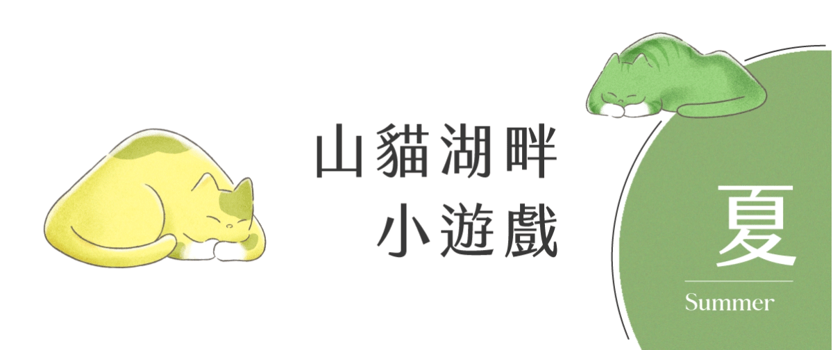 2026日曆錯過這本會後悔?預購破200萬的貓日曆折扣看這裡!結合動畫+心理學超圈粉 - 第17張圖 2026貓日曆推薦,365天讓日子過得像隻貓