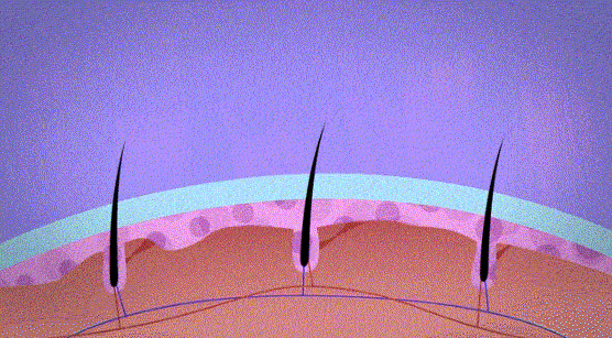 髮利明有效嗎?髮利明AHK藍銅髮根噴劑1天1次,連續使用6週實測,髮際線密度真的回來了! - 第9張圖 髮利明有效嗎,髮利明AHK藍銅髮根滋養噴劑