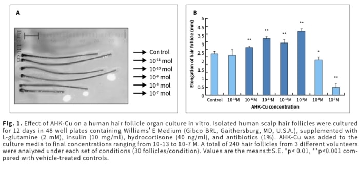 髮利明有效嗎?髮利明AHK藍銅髮根噴劑1天1次,連續使用6週實測,髮際線密度真的回來了! - 第18張圖 髮利明有效嗎,髮利明AHK藍銅髮根滋養噴劑