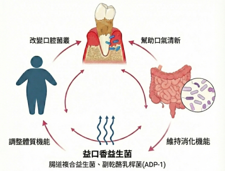 嘴巴味道怪怪的？益口香益生菌1天3包，清新整天贏過口香糖！