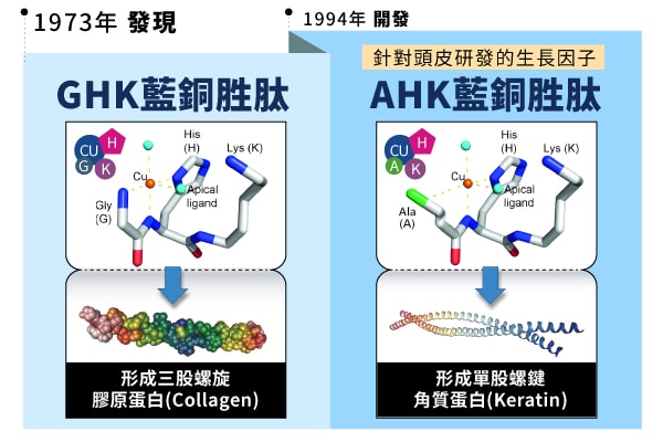 髮利明有效嗎?髮利明AHK藍銅髮根噴劑1天1次,連續使用6週實測,髮際線密度真的回來了! - 第16張圖 髮利明藍銅